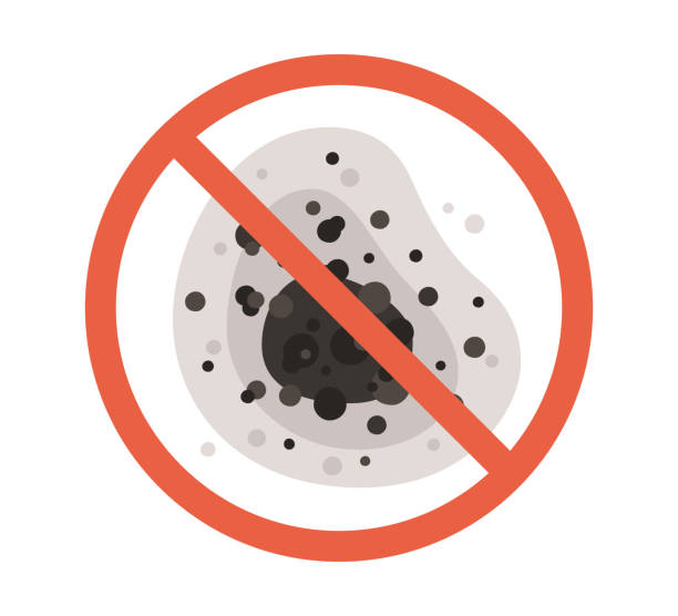 Mold Odor Removal Services in Moundville, AL